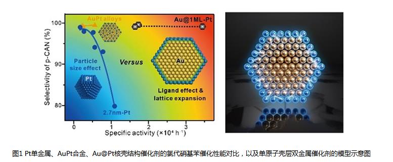 中国学者在加氢催化剂的精准设计方面取得进展.jpg
