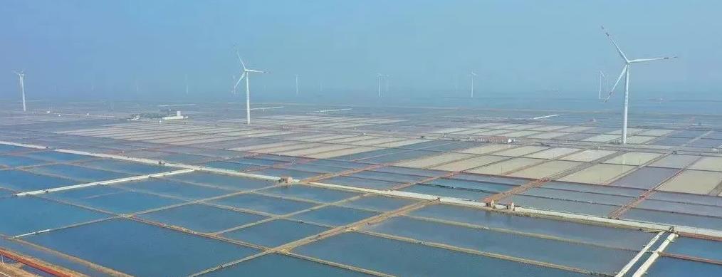 充分利用有利的地形条件，滨海大力发展风能发电 摄影：袁彦奎.jpg