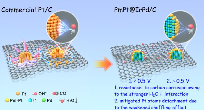 Pt/C的稳定性衰退机制指导赝Pt单层结构的设计策略.jpg